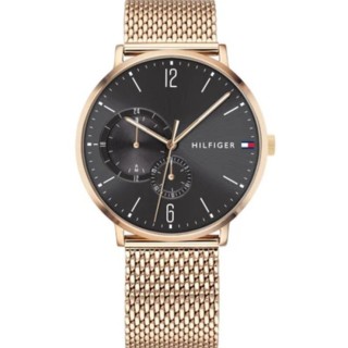 Buy Tommy Hilfiger 1791506 wholesale luxury watches B2B.
