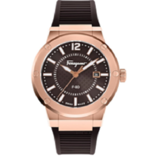 Buy Salvatore Ferragamo SFHY02522 wholesale luxury watches B2B.