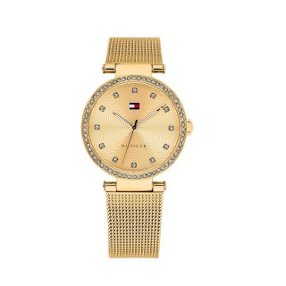 Buy Tommy Hilfiger 1781864 wholesale luxury watches B2B.